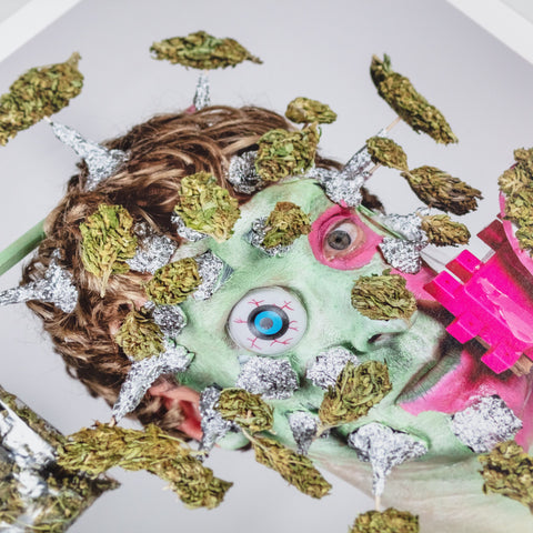 DAVID HENRY NOBODY JR - 'MARIJUANA MAN'
