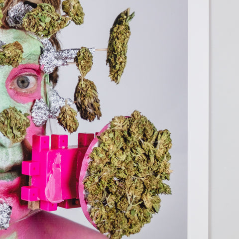 DAVID HENRY NOBODY JR - 'MARIJUANA MAN'