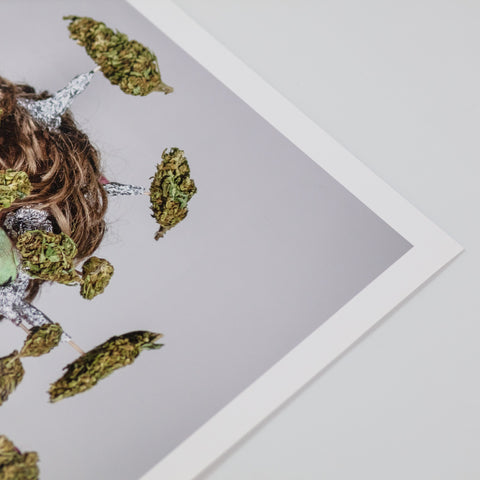 DAVID HENRY NOBODY JR - 'MARIJUANA MAN'