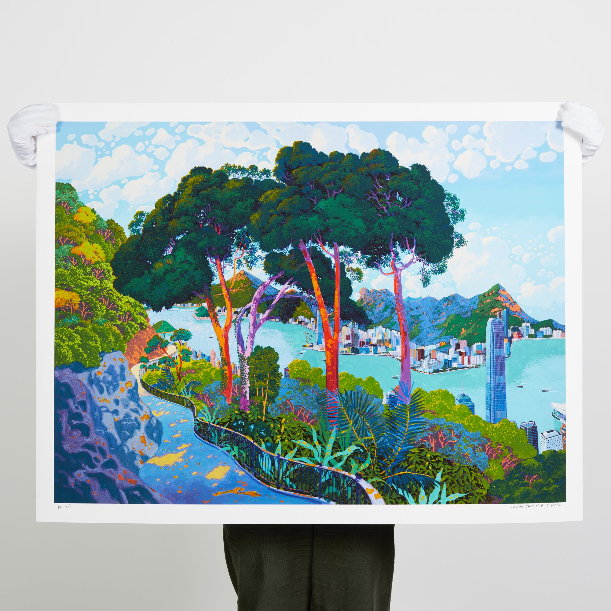 STEPHEN WONG - LUGARD ROAD AND THE VICTORIA HARBOUR